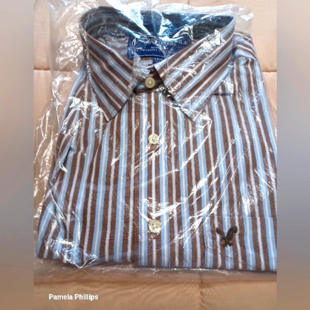 American Eagle Outfitters Blue and White Casual Button Down Shirt